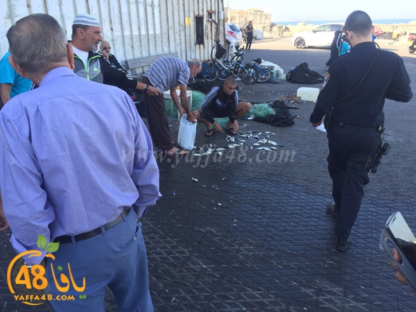 mina2 yaffaj3 (2).jpg